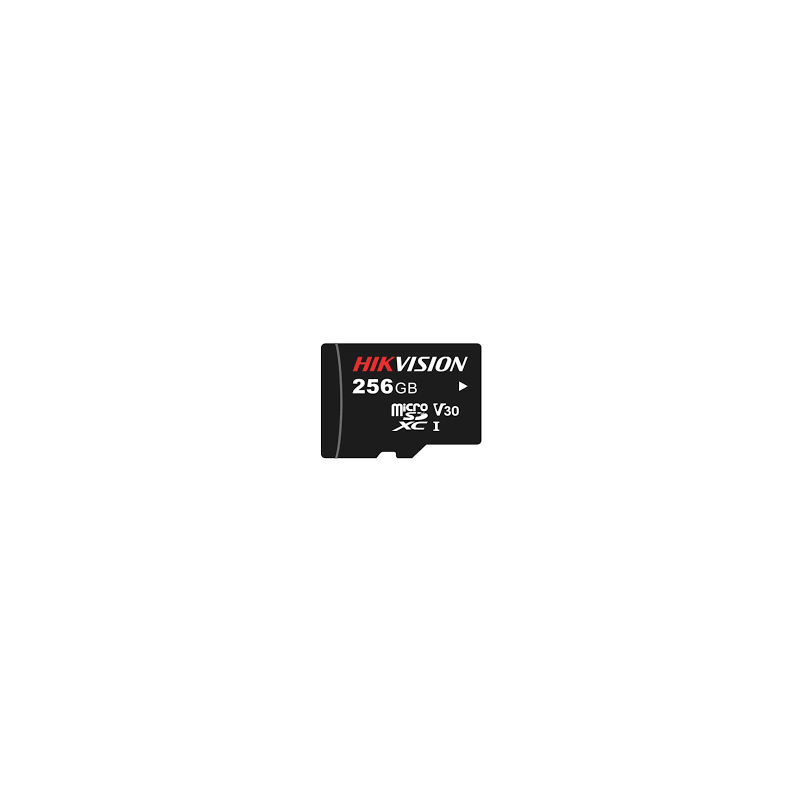 Micro SD XC HIK HS-TF-L2 256GB Surveillance